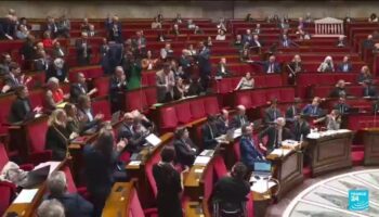 Budget 2025 : quel avenir à l'Assemblée ?