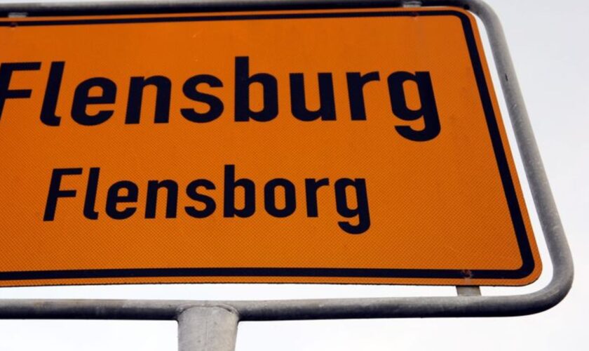 In ganz Flensburg ist am 28.10.2024 die Straßenbeleuchtung ausgefallen. (Archivbild) Foto: Carsten Rehder/dpa