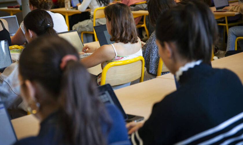 Exode des étudiants martiniquais en métropole : «Je n’ai pas choisi de partir, j’y ai été contrainte»