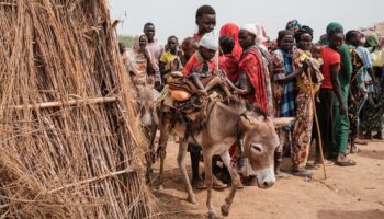 Bürgerkrieg: 14 Millionen Menschen laut IOM wegen Krieg im Sudan vertrieben