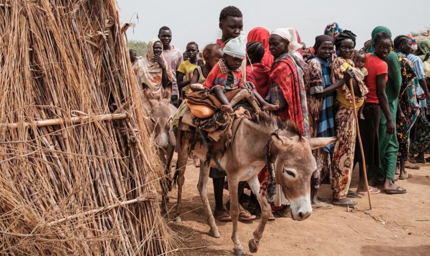 Bürgerkrieg: 14 Millionen Menschen laut IOM wegen Krieg im Sudan vertrieben