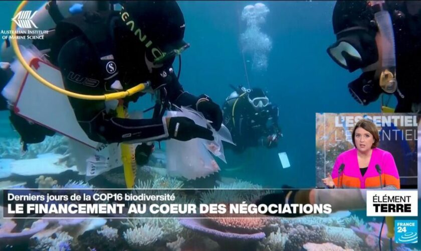 COP16: Le financement au cœur des négociations