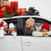 Car is better for holiday travel than plane, many Americans say