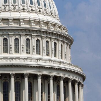 Trump ou Harris ? La présidentielle américaine éclipse l’élection du Congrès, tout aussi cruciale