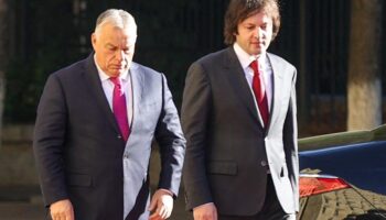 En visite en Géorgie, Viktor Orban “légitime une élection discutable”