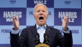 Biden calls Trump supporters 'garbage' during Harris campaign call as VP calls for unity at Ellipse rally