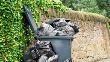 People are 'today years old' after discovering clever trick to replace bin bags