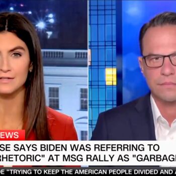 CNN anchor skeptical of White House cleanup of Biden's 'garbage' comment: 'You can listen to it for yourself'