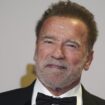 Liveblog zur US-Wahl 2024: Republikaner Arnold Schwarzenegger unterstützt Harris