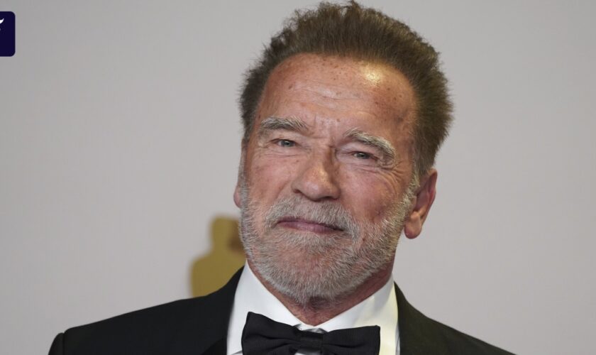 Liveblog zur US-Wahl 2024: Republikaner Arnold Schwarzenegger unterstützt Harris