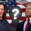 Who Trump and Harris have promised jobs to