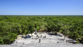 Archäologie: Maya-Siedlung im mexikanischen Dschungel entdeckt