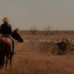 Tout le monde parle de cette nouvelle série australienne qui cartonne sur Netflix, elle se regarde en 6 heures