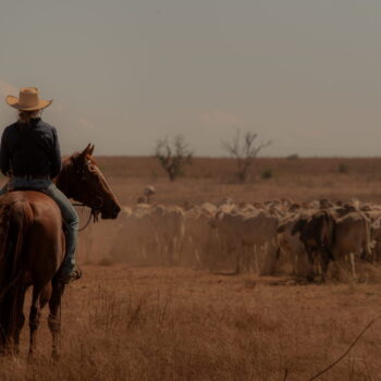 Tout le monde parle de cette nouvelle série australienne qui cartonne sur Netflix, elle se regarde en 6 heures