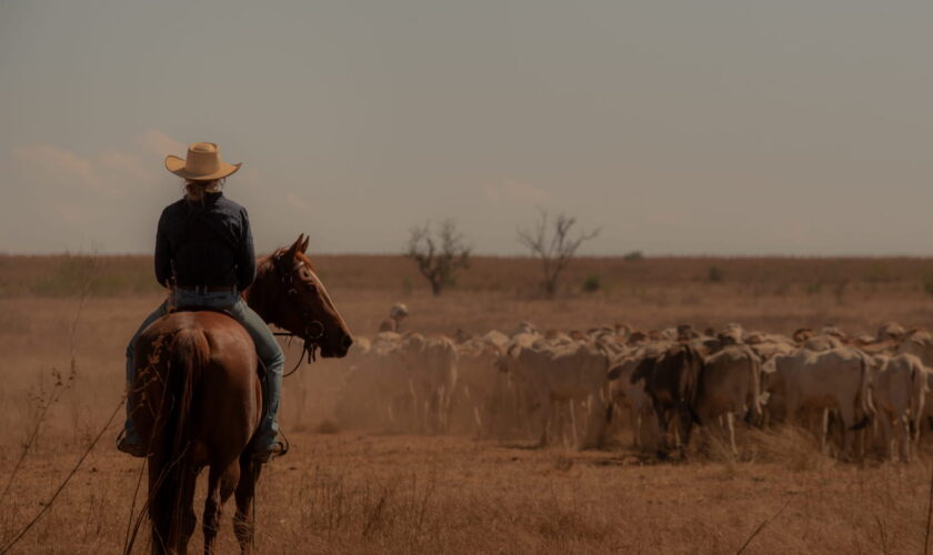 Tout le monde parle de cette nouvelle série australienne qui cartonne sur Netflix, elle se regarde en 6 heures