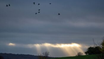 In Rheinland-Pfalz und im Saarland wechseln sich zum Ende der Woche Wolken, Sprühregen und Sonne ab - am Sonntag soll es vermehr