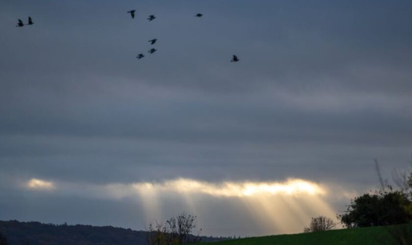 In Rheinland-Pfalz und im Saarland wechseln sich zum Ende der Woche Wolken, Sprühregen und Sonne ab - am Sonntag soll es vermehr