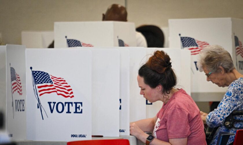 Présidentielle américaine : observateurs hostiles, assesseurs inquiets… Les craintes d’une soirée électorale sous tension dans les bureaux de vote