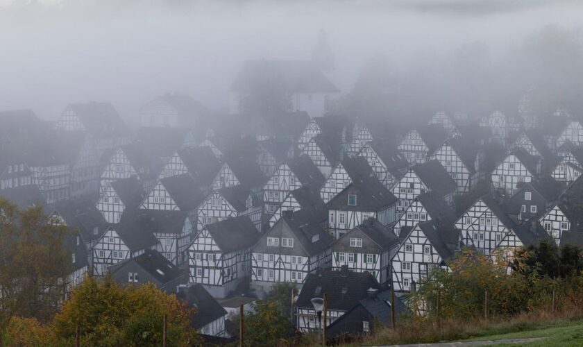 Blick aus dem Kurpark auf die historische Altstadt von Freudenberg im Siegerland