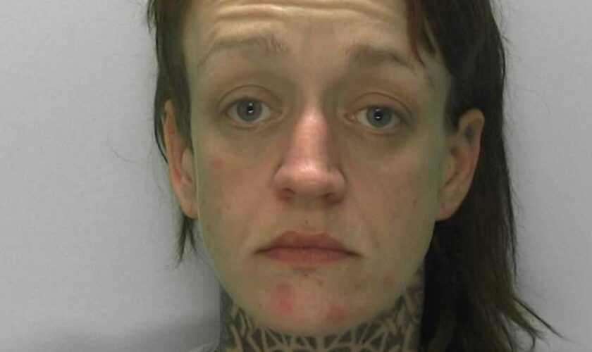 Prolific shoplifter banned from wearing wigs after disguising herself during stealing spree