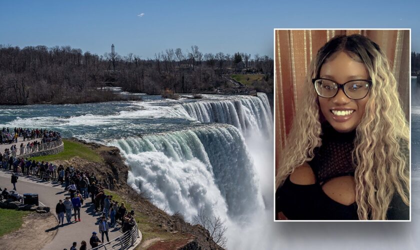 Women jumps into Niagara Falls with 2 young sons in 'intentional act': police