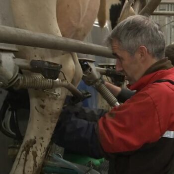 farming budget Paul Tompkins