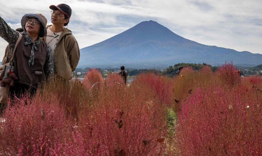 Mais où est donc passé le manteau de neige du mont Fuji ?