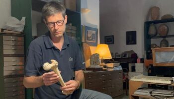 «À 7 ans, j'ai su que je ferai de l'archéologie pour faire parler les morts»: Philippe Charlier, le «Docteur Trop tard»