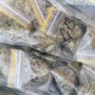 À Marseille, un couple de narcotrafiquants importait du cannabis depuis l’Espagne via des colis Vinted