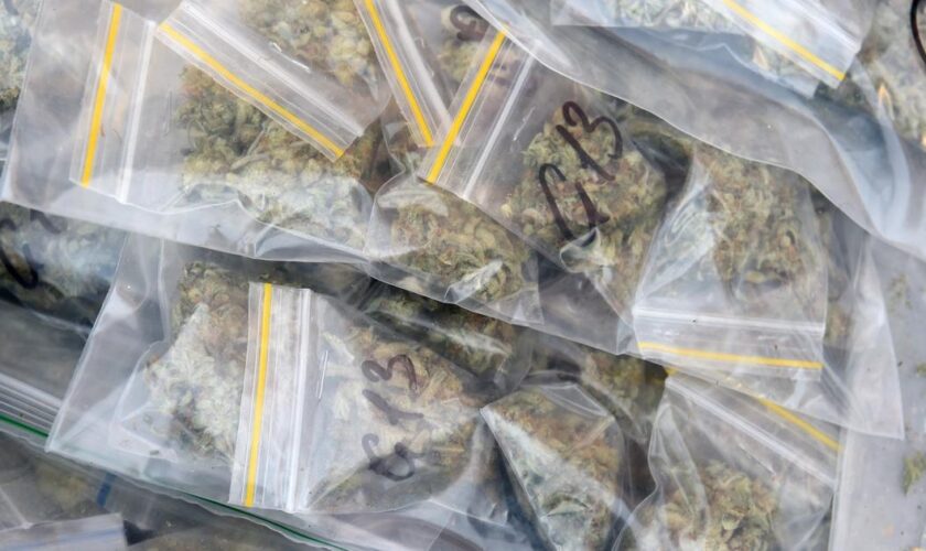 À Marseille, un couple de narcotrafiquants importait du cannabis depuis l’Espagne via des colis Vinted