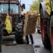 Accumulation des normes, retards de paiements... des agriculteurs manifestent dans la Marne et en Bourgogne-Franche-Comté