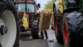 Accumulation des normes, retards de paiements... des agriculteurs manifestent dans la Marne et en Bourgogne-Franche-Comté