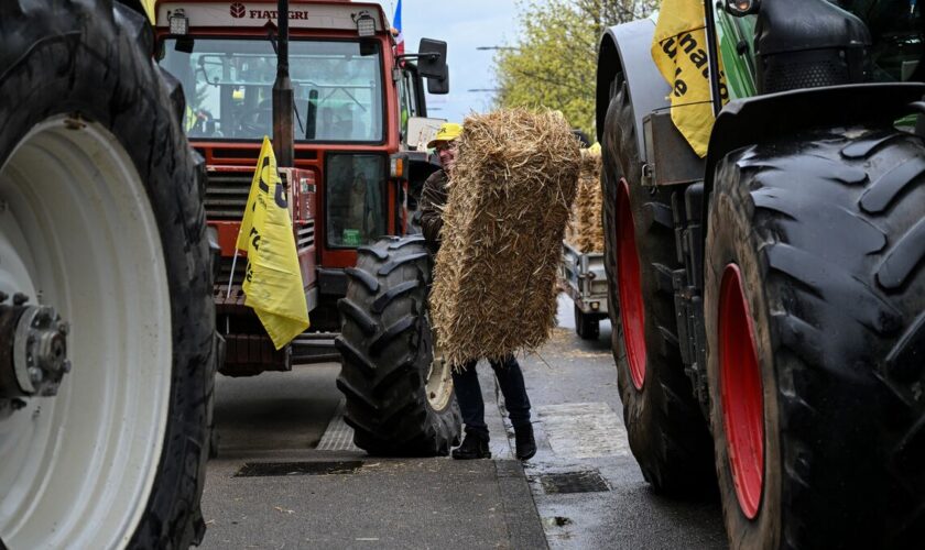 Accumulation des normes, retards de paiements... des agriculteurs manifestent dans la Marne et en Bourgogne-Franche-Comté