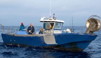 Après le succès des quotas, une pêche «responsable» à Sète pour maintenir les populations de thon rouge en Méditerranée