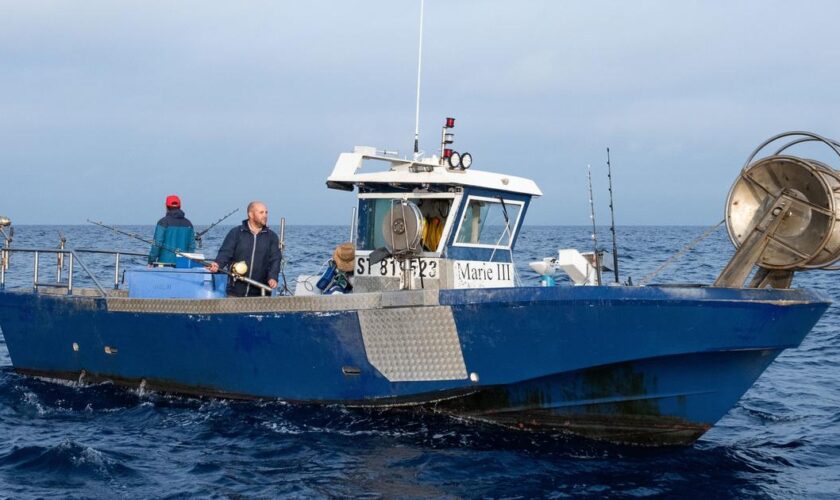 Après le succès des quotas, une pêche «responsable» à Sète pour maintenir les populations de thon rouge en Méditerranée