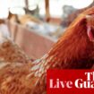 Australia news live: Labor commits $95m to prepare for deadly bird flu; republicans to welcome king’s visit with ‘farewell tour’ T-shirts