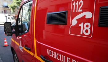 Boulogne-Billancourt : un chien meurt dans l’incendie d’un appartement, un chat placé sous oxygène