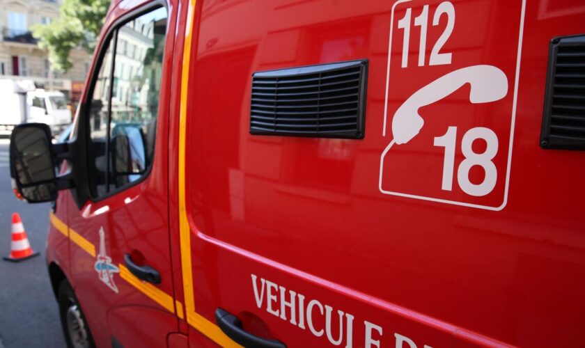 Boulogne-Billancourt : un chien meurt dans l’incendie d’un appartement, un chat placé sous oxygène