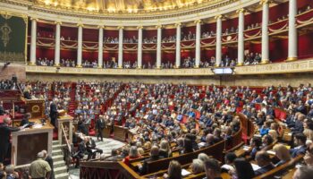 «Ça va se jouer à 1 voix» : à l’Assemblée, petits calculs et grandes manœuvres autour de la dernière vice-présidence vacante