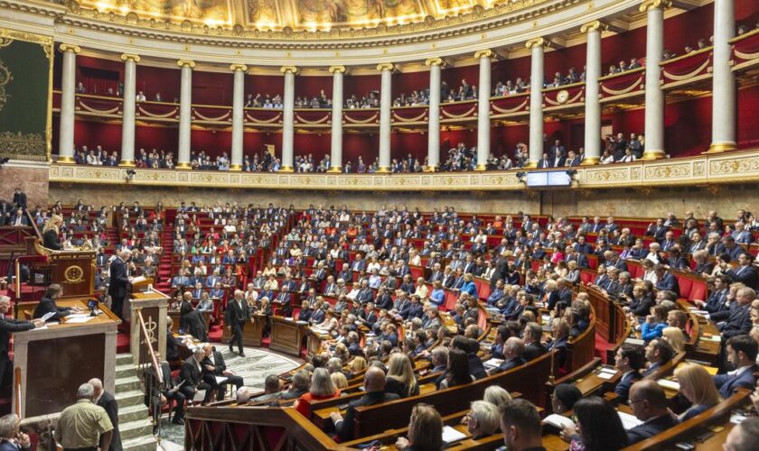 «Ça va se jouer à 1 voix» : à l’Assemblée, petits calculs et grandes manœuvres autour de la dernière vice-présidence vacante