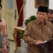 Can Indonesia bear the burden of Subianto's big government?