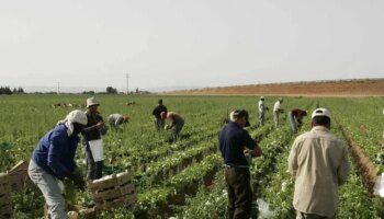 Castilla-La Mancha, entre las primeras regiones con más pobreza laboral, detrás de Andalucía y Extremadura