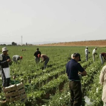 Castilla-La Mancha, entre las primeras regiones con más pobreza laboral, detrás de Andalucía y Extremadura