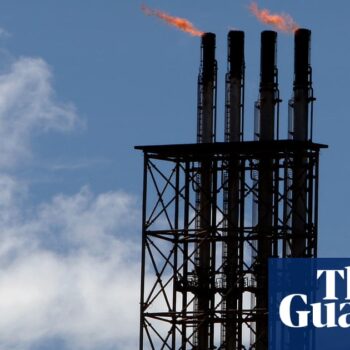 Coalition pledge to subsidise Australia’s most expensive form of energy makes ‘no sense’, Labor says