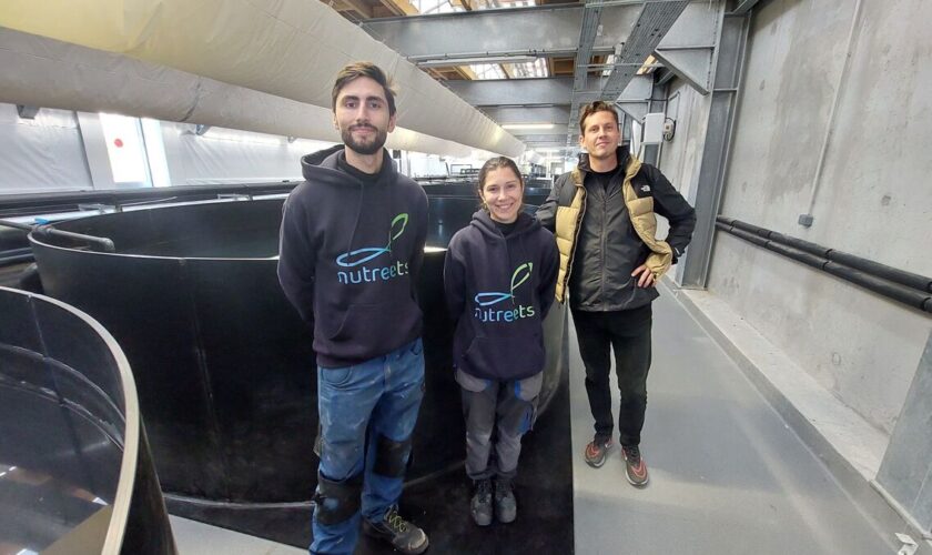 Colombes : dans cette ferme urbaine XXL, les salades pousseront bientôt grâce aux poissons