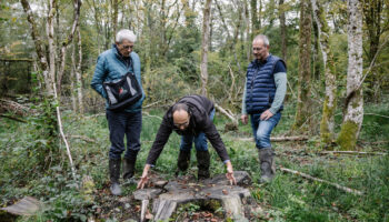 Dans la Meuse, des voleurs ont pillé et massacré leur forêt : « Un couteau dans le cœur »