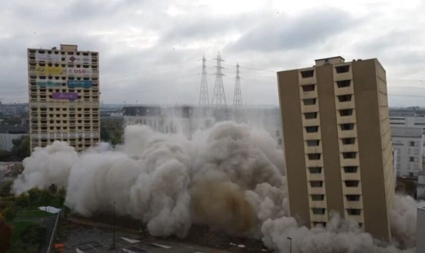 Destructions des tours Alouettes à Alfortville : « C’est toute ma vie depuis l’enfance qui s’écroule »