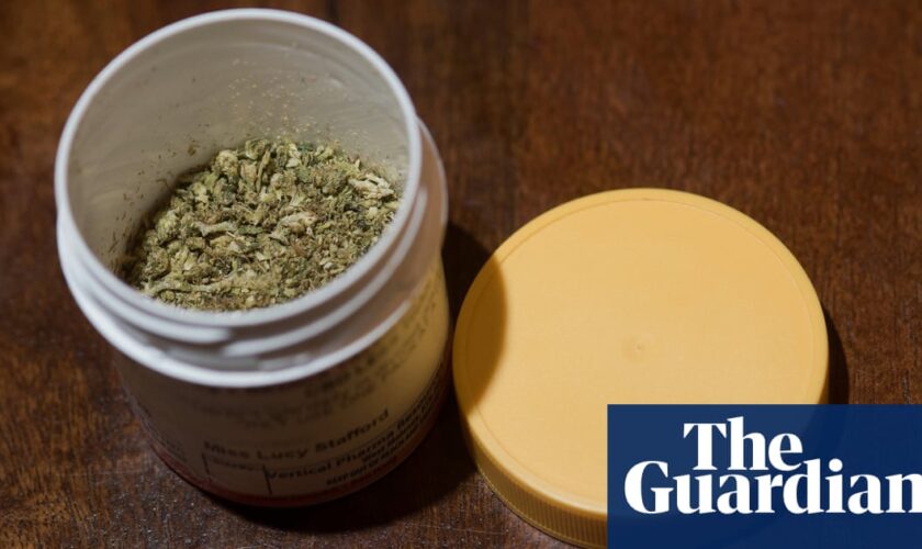 Drivers to escape punishment over medical cannabis under interim Victorian proposal