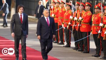 EU says Viktor Orban doesn't represent the bloc in Georgia