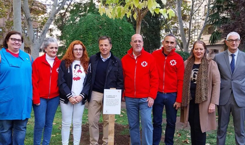 El Árbol de la Humanidad de Cruz Roja ya luce en Albacete reivindicando la labor humanitaria de la ONG